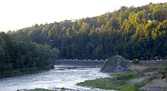 895_TZ60_P1150028_cr