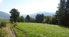 094_TZ60_P1150126_cr