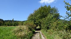 105_TZ60_P1150132_cr