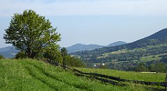 117_TZ60_P1150145_cr