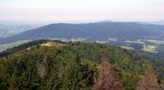 207_TZ60_P1150204_cr