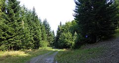 247_TZ60_P1150225_cr