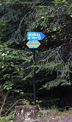 248_TZ60_P1150226_cr