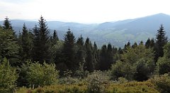 328_TZ60_P1150246_cr