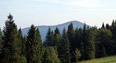 356_TZ60_P1150268_cr