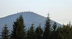 357_TZ60_P1150269_cr