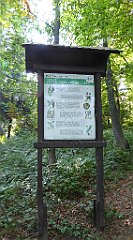 0048_TZ60_P1150317_cr