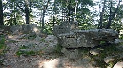 0065a_3D_P1120550_cr