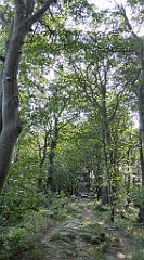 0077_TZ60_P1150338_cr