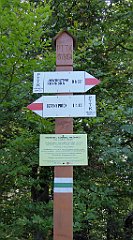 0081_TZ60_P1150342_cr