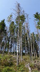 0086_TZ60_P1150347_cr