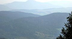 0104_TZ60_P1150362_cr