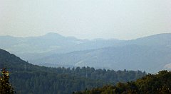 0110_TZ60_P1150366_cr