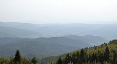 0124_TZ60_P1150378_cr