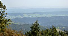 0142_TZ60_P1150396_cr