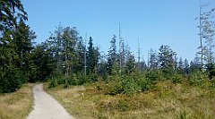 0180_A806_IMG_20160913_122830_cr