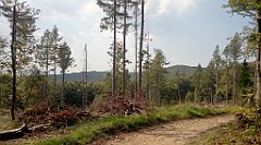 0233_A806_IMG_20160913_143338_cr