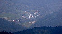 0239_TZ60_P1150462_cr