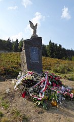 0254_TZ60_P1150468_cr