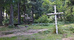 0270_TZ60_P1150479_cr