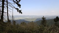 0278_TZ60_P1150484_cr