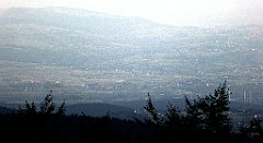 0290_TZ60_P1150500_cr