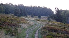 0298a_TZ60_P1150499_cr