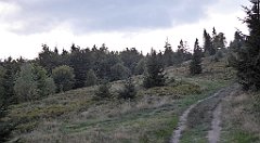 0308_TZ60_P1150519_cr