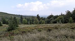 0309_TZ60_P1150520_cr