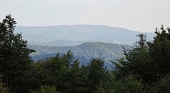 0311_TZ60_P1150522_cr