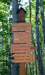 0331_TZ60_P1150531_cr