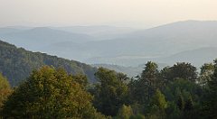 0375_TZ60_P1150554_cr