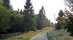 0382_TZ60_P1150555_cr