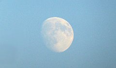 0395_TZ60_P1150562_cr