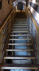 118_TZ60_P1150704_cr