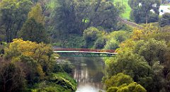 154_TZ60_P1150740_cr