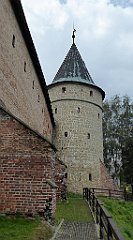 206_TZ60_P1150777_cr