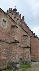 259_TZ60_P1150796_cr