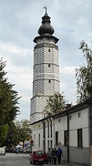 260_TZ60_P1150797_cr