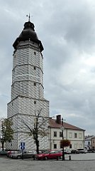 263_TZ60_P1150800_cr