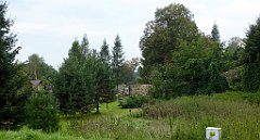 300_TZ60_P1150805_cr