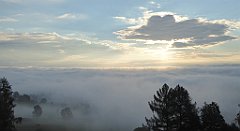 024_TZ60_P1150857_cr