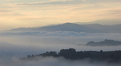 028_TZ60_P1150861_cr