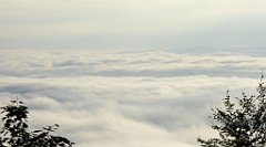 062a_TZ60_P1150879_cr