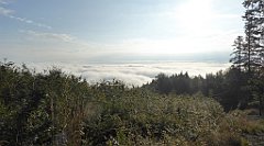 066_TZ60_P1150881_cr