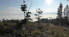 068a_TZ60_P1150884_cr