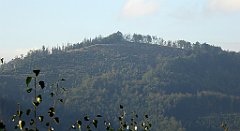 078_TZ60_P1150892_cr