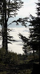 079_TZ60_P1150893_cr