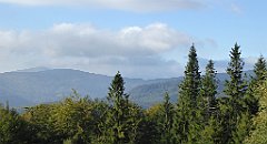 118_TZ60_P1150919_cr