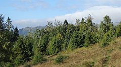 120_TZ60_P1150922_cr